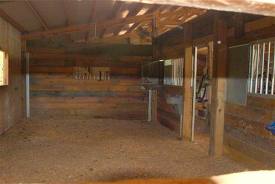 Facility for foaling, horse riding, used saddles for sale, draft horse ...